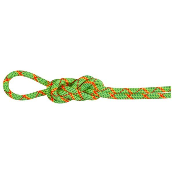 Mammut - 8.0 Alpine Core Protect Dry Rope - Halbseil